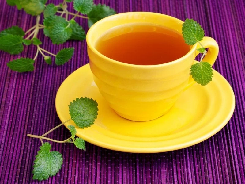 Ποιο είναι το φυσικό αγχολυτικό που καταπολεμά το στρες και την αϋπνία